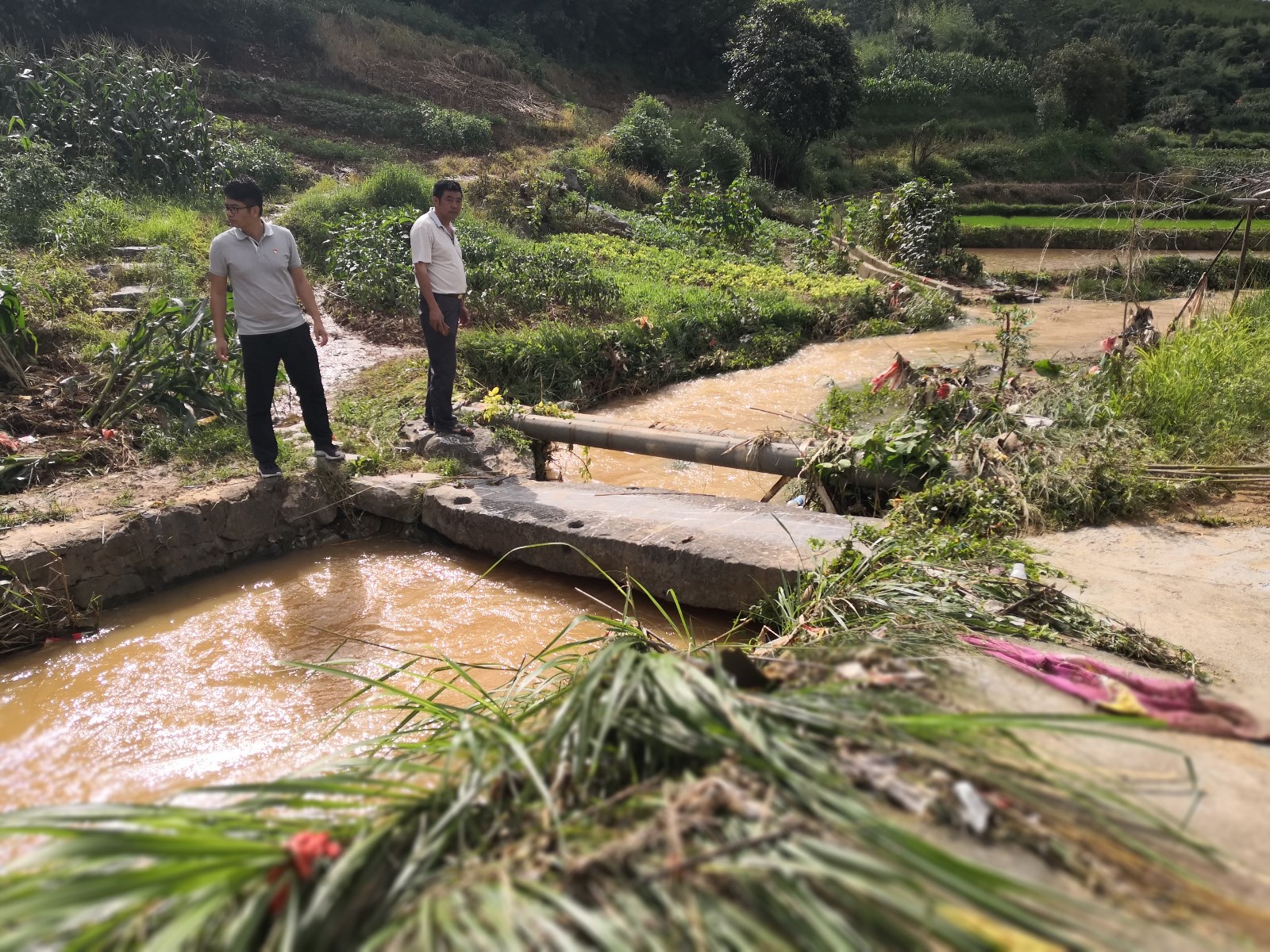15-圖為東江水務(wù)公司紫溪村駐村第一書記李文成（左一）走訪了解大雨對村中農(nóng)業(yè)生產(chǎn)影響.jpg