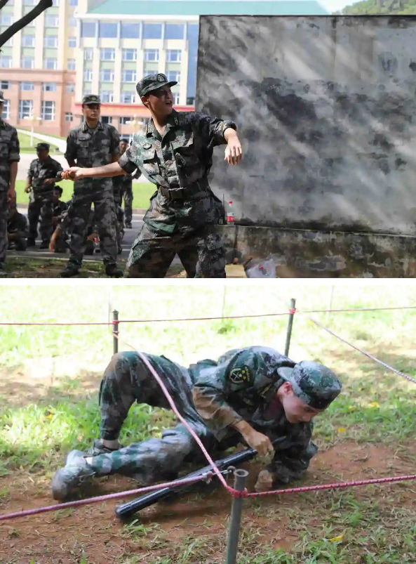 1693278264018.png 1693278264018.png