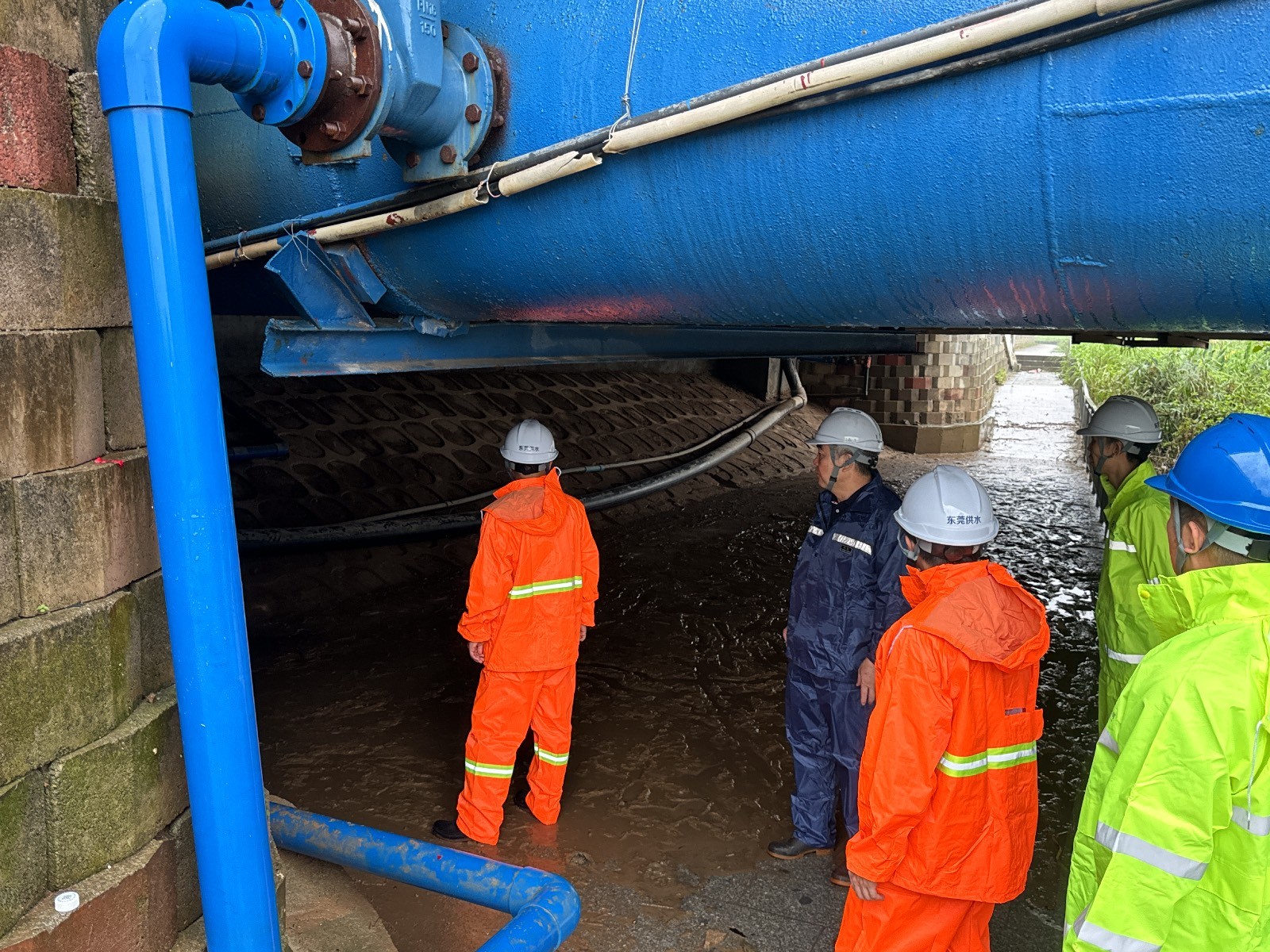 各級單位開展防汛及安全生產(chǎn)風(fēng)險隱患排查隱患排查 (1).JPG