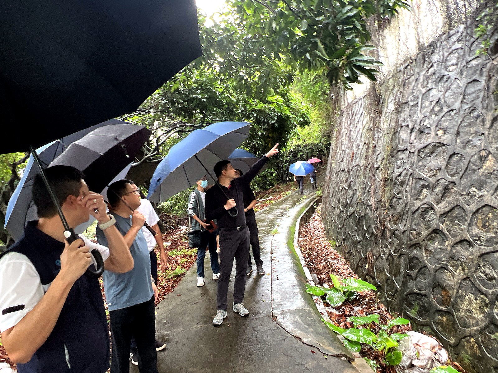 專項督查組督導(dǎo)檢查  (1).jpg