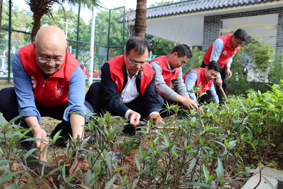 1738910023154.jpg 1738910023154.jpg