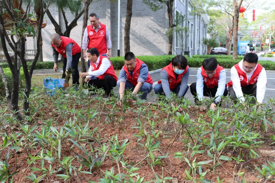 1738910636598.jpg 1738910636598.jpg